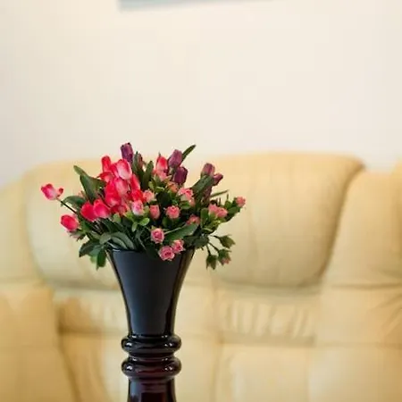 公寓 Big Cosy Retro Apt, Free Parking, 15min Oldtown & Kazimierz - By Homelike *